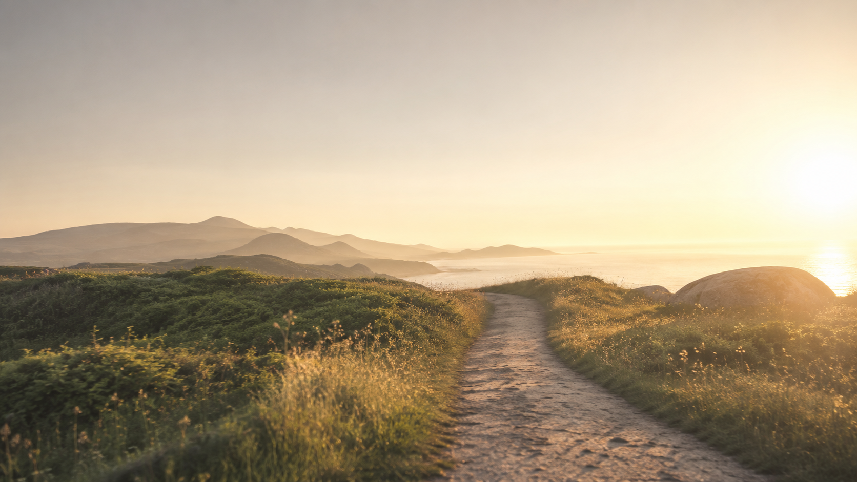 Sonniger Weg in der Landschaft